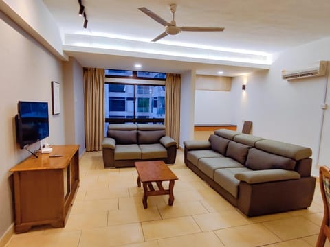 TV and multimedia, Living room, Seating area, Evening entertainment, fireplace, air conditioner