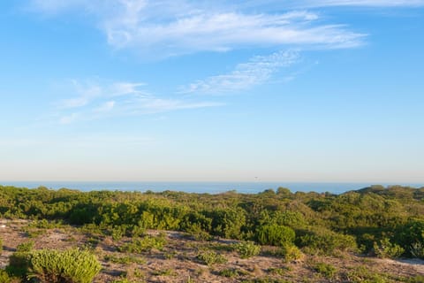 Agulhas Seabreeze, tip of Africa Apartment in Western Cape