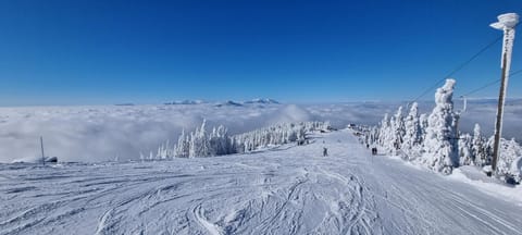 Winter, Skiing