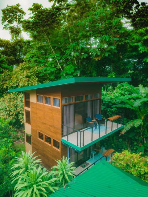 Property building, Natural landscape, Garden, Garden view, Inner courtyard view
