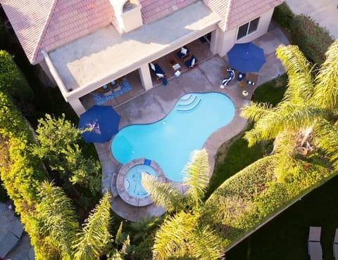 Property building, Patio, Garden, Garden view, Pool view, Swimming pool, sunbed