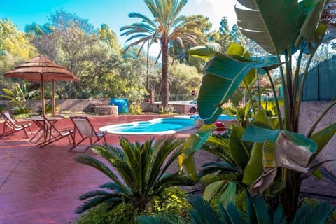 Garden, Swimming pool