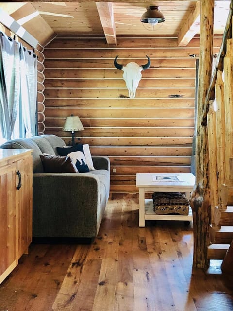 20 mins to YNP-Cabin-Pet friendly Cabin in Island Park
