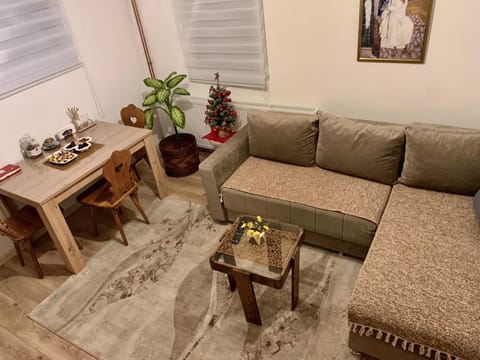 Vila Vasilisa Apartment in Zlatibor District, Serbia