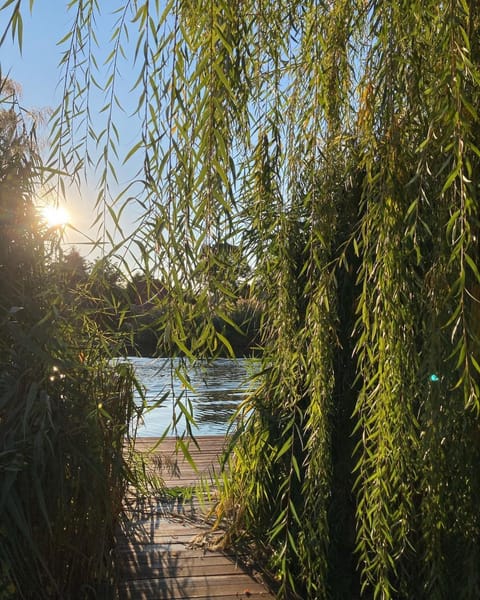 Lake view