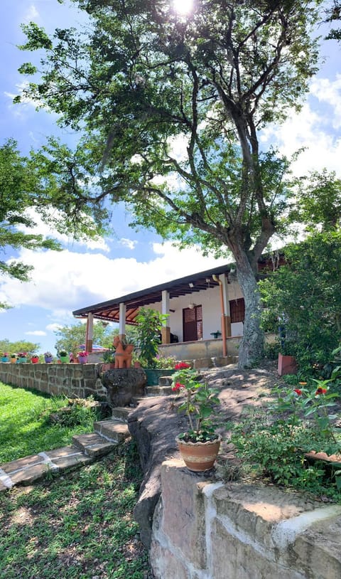 Day, Natural landscape, Garden, Garden view