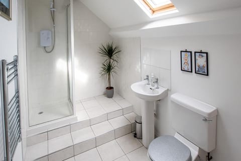 The Rafters Apartment in Braunton