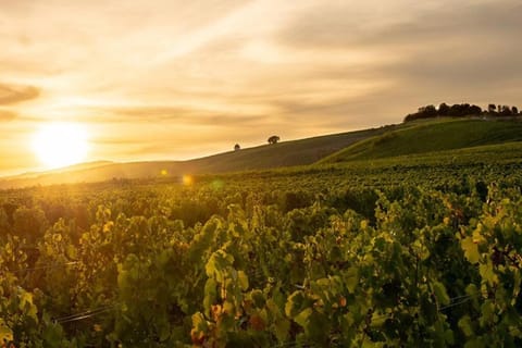 Day, Natural landscape, Sunset