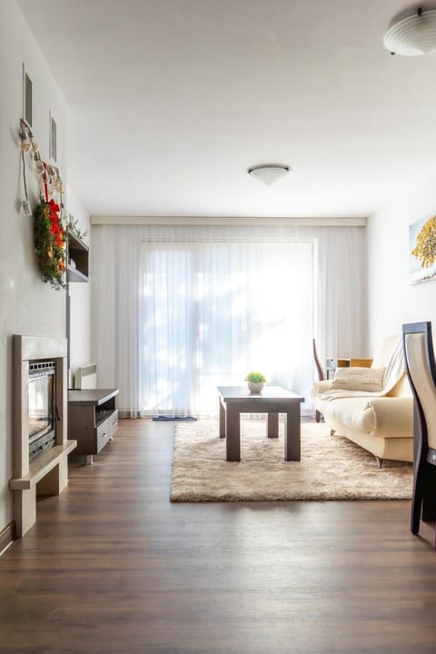 TV and multimedia, Living room, Photo of the whole room, Seating area, fireplace, flat iron