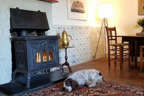 Charming house in Westenschouwen House in Burgh-Haamstede