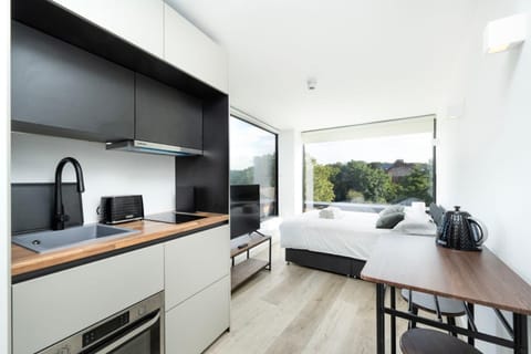 Bed, TV and multimedia, Kitchen or kitchenette, Photo of the whole room, Dining area, Bedroom