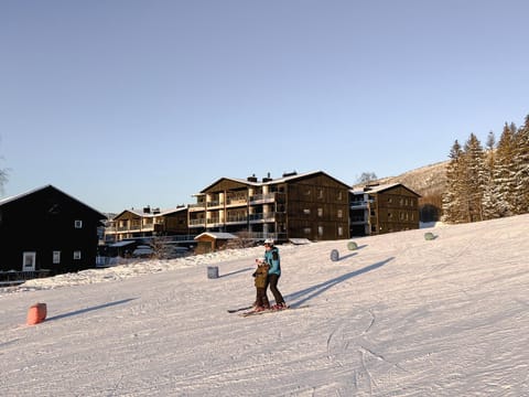 Winter, Skiing, Skiing