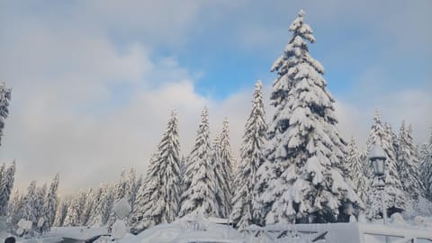 Natural landscape