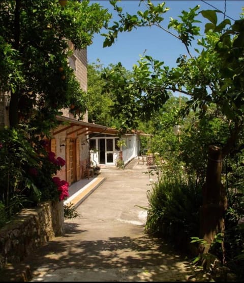 B&b L' Arancio in fiore Bed and Breakfast in Sant Agnello
