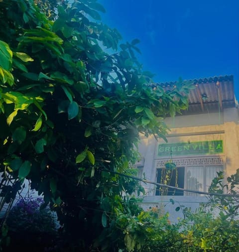 Property building, Garden, Garden view