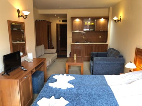 Simon1 studio, 2 min to gondola Apartment in Bansko