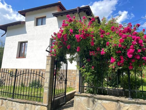 Property building, Spring, Day, Garden, Garden view