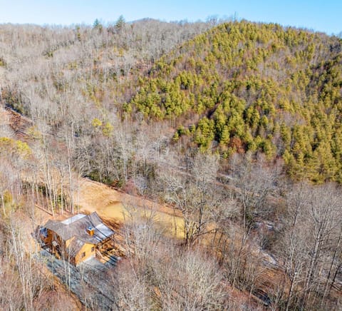 The Preserve Mountain Getaway Cabin Cabin in Aquone