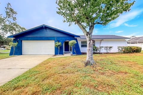 Tropical Vibe House in Dunedin