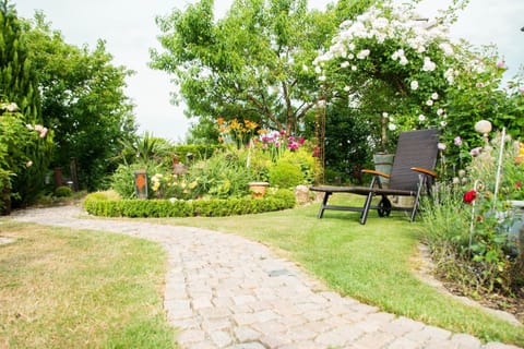 Natural landscape, Garden, Garden view