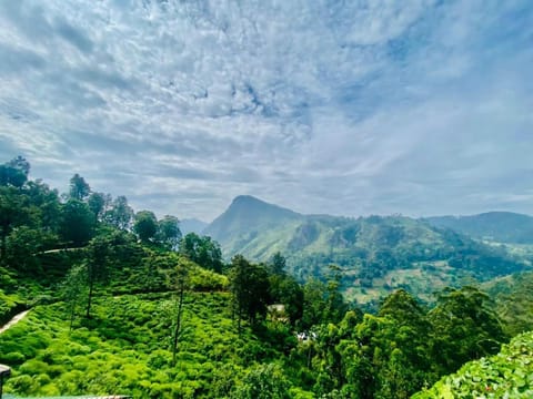 Mountain view