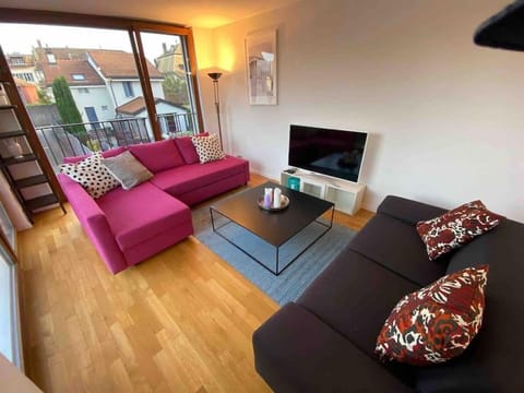 Le Onze Soixante Six Duplex très ensoleillé Apartment in Canton of Vaud