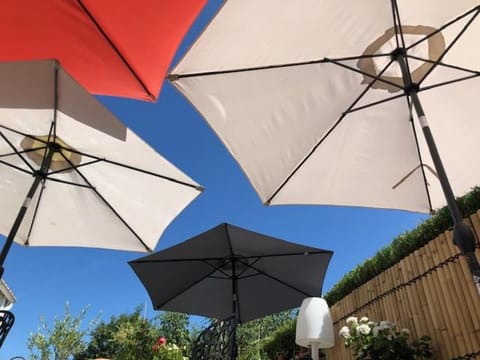 Patio, Garden