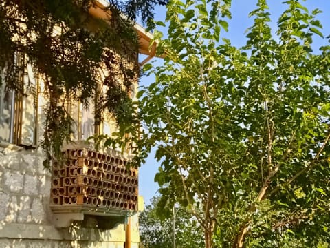 Property building, Balcony/Terrace, Balcony/Terrace, Garden view