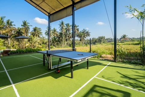 Table tennis, View (from property/room), Tennis court