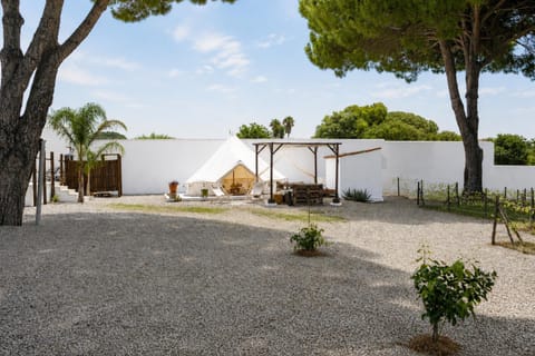 Day, Garden, Garden view