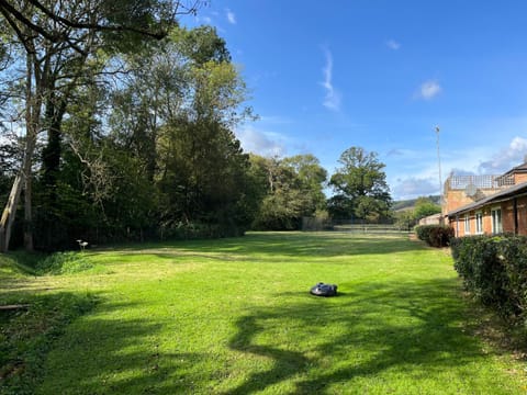 Spring, Day, Natural landscape, Garden, Garden view