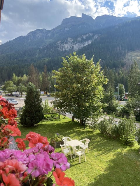 Appartamenti Césa Col De Pin Apartment in Canazei