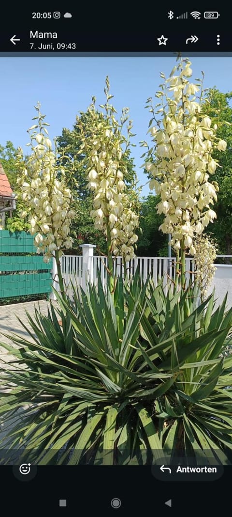 Kuća Barbara Apartment in Slavonski Brod