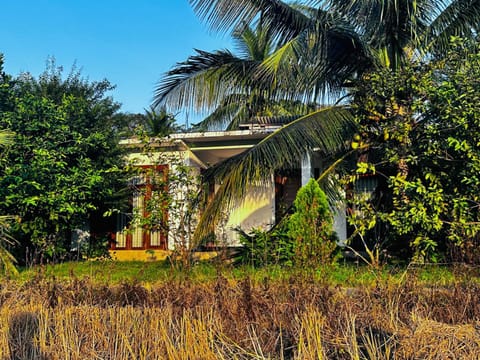 Natural landscape, Garden view