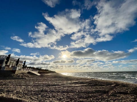 Palangos Dailė Self Check-in Hotel in Palanga