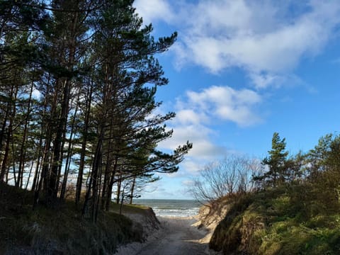 Palangos Dailė Self Check-in Hotel in Palanga