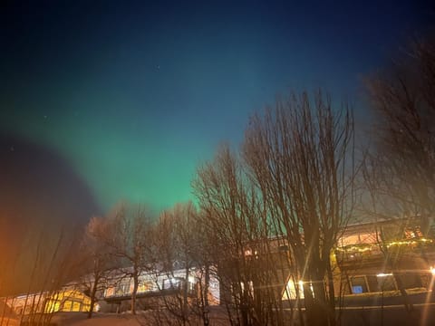 Lykkebo Apartment in Tromso