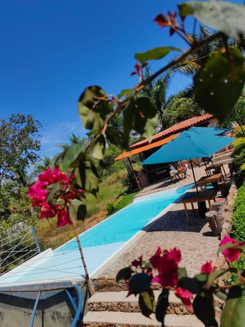 Day, Garden, Garden view, Pool view, Swimming pool