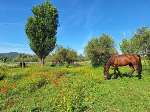 La Casa di MaJa House in Sarzana