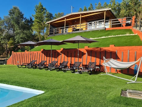 Property building, Garden, sunbed