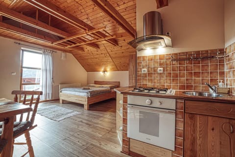 Kitchen or kitchenette, Photo of the whole room