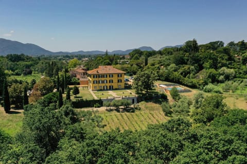 Villa Pacini - just 1,8 km outside Lucca Wall - Pool Villa in Capannori