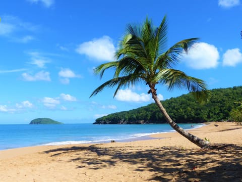 Neighbourhood, Natural landscape, Beach, Beach, Sea view