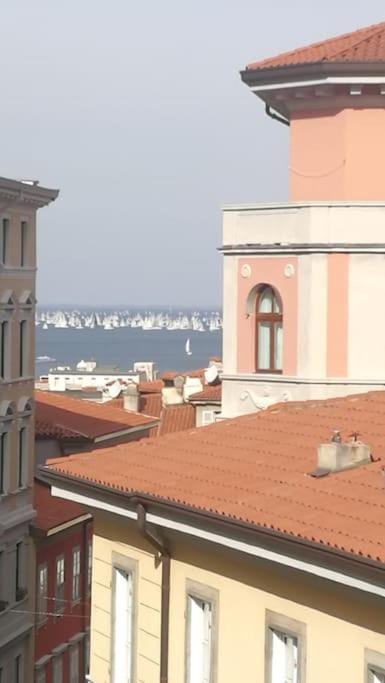 City view, Sea view