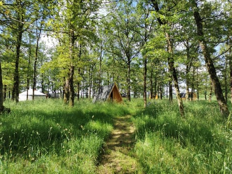 La Parenthèse Meslandaise Luxury tent in Centre-Val de Loire