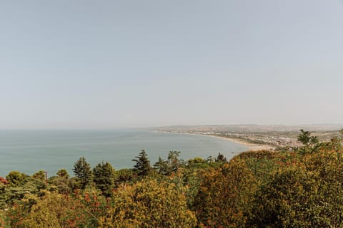 B&b VICO BOITO Bed and Breakfast in Vasto