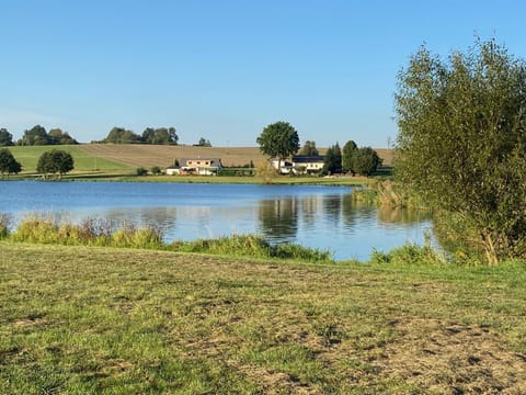 Spring, Natural landscape, Lake view