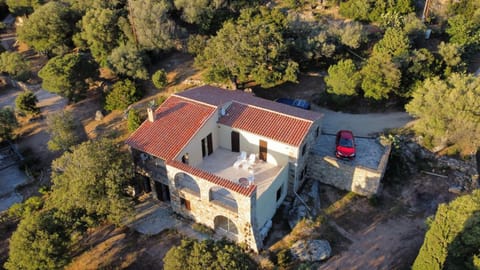 Property building, Bird's eye view