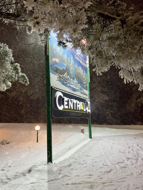Central green Apartment in Zlatibor District, Serbia