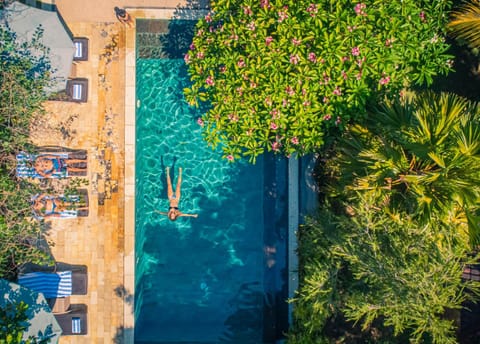 Day, Bird's eye view, Swimming pool